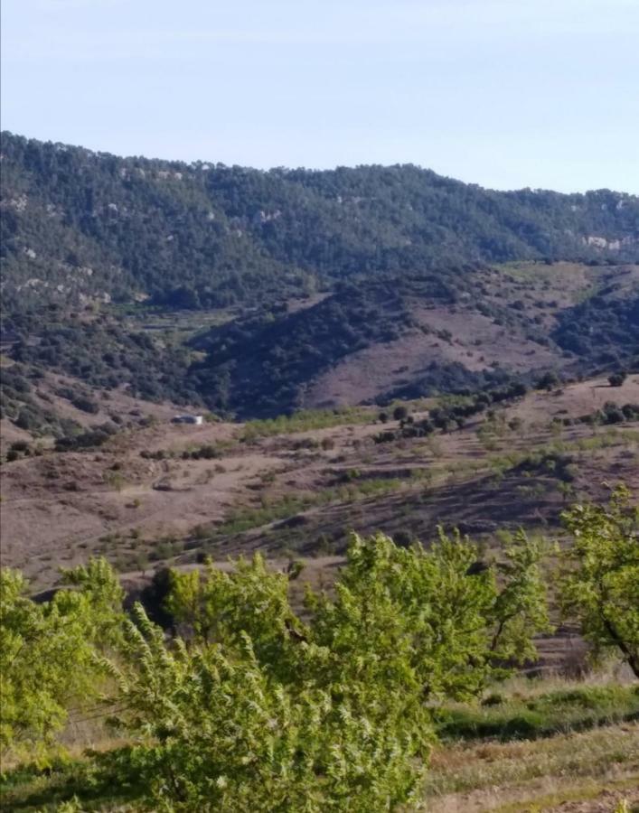 شقة Cal Sole Ulldemolins المظهر الخارجي الصورة